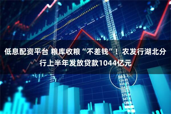 低息配资平台 粮库收粮“不差钱”！农发行湖北分行上半年发放贷款1044亿元