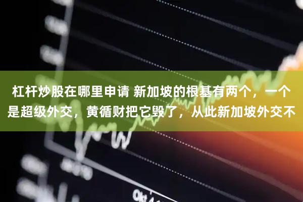 杠杆炒股在哪里申请 新加坡的根基有两个，一个是超级外交，黄循财把它毁了，从此新加坡外交不